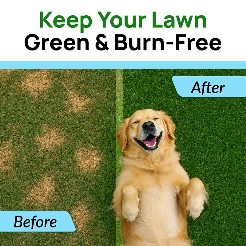 Image of PAWFECTCHEW Dog Pee Grass Chews - Grass Treatment for Pet Urine - Neutralizer for Green Grass Burn Urine Spots - Green Lawn Chews for Dogs with Probiotics - Made in USA (120Ct)
