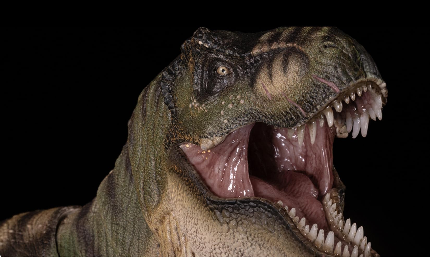 Amazon.co.jp: Nanmu 本心楠改 ティラノサウルス3.0 恐竜 フィギュア