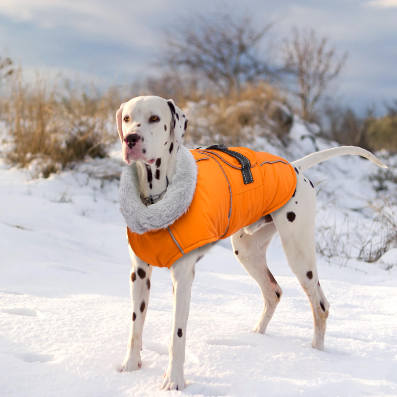 Lelepet Manteaux et vestes chauds pour chiens, manteau d'hiver imperméable pour chien par temps froid, veste matelassée réfléchissante pour chien, doublure polaire pour animal de compagnie avec trou