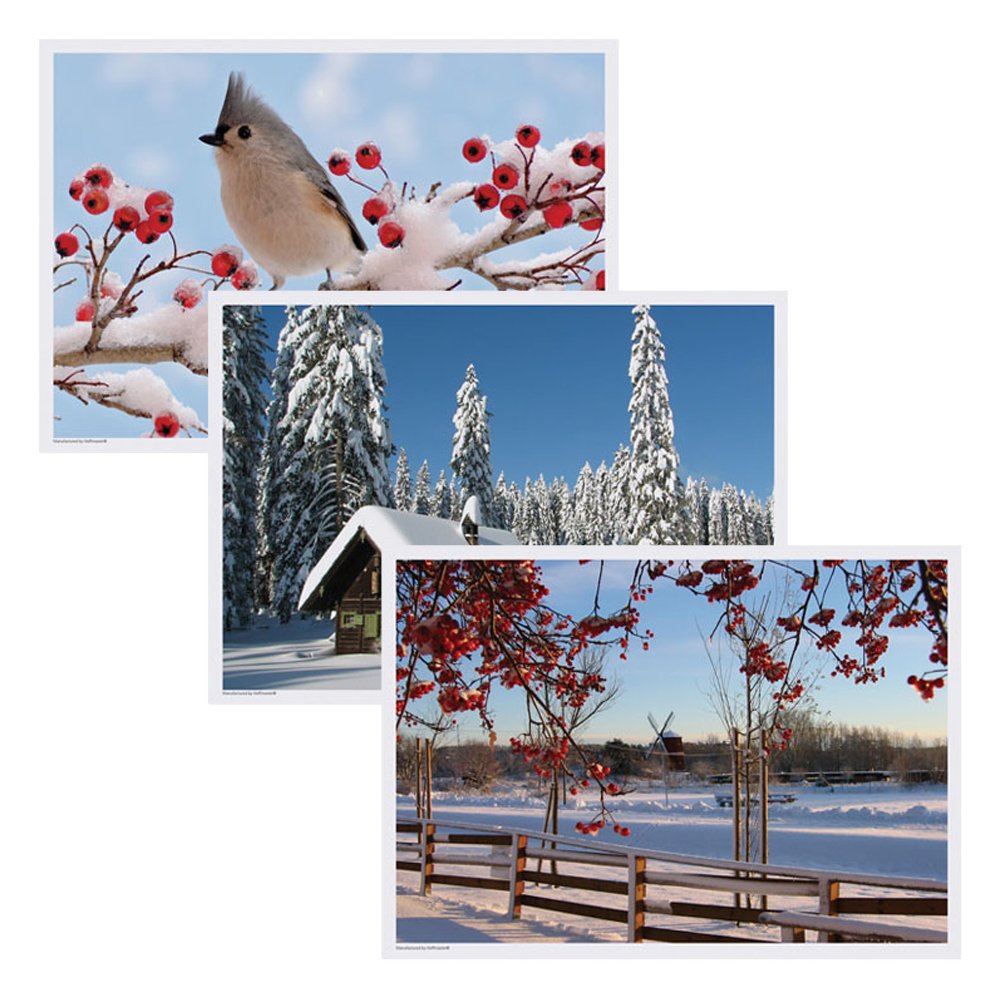 Hoffmaster 702079 Placemat Multipack, 3 Designs, 14" Length x 10" Width, Winter (Case of 1000)
