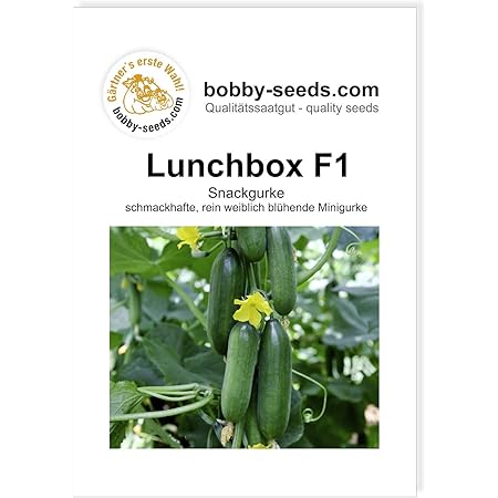 Lunchbox F1 Snackgurkensamen von bobby-seeds Portion