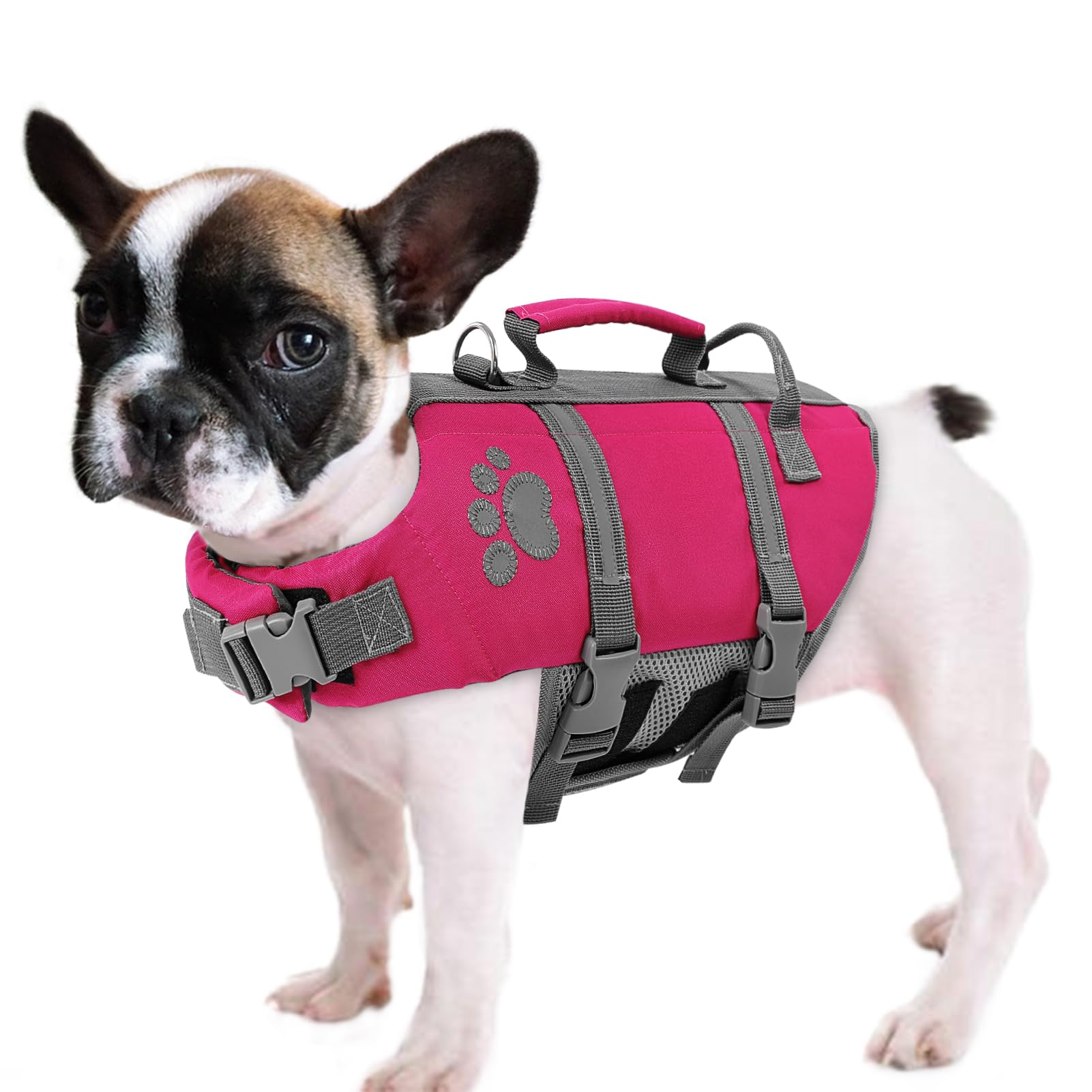 Queenmore XS Dog Life Jacket, Puppy Life Jackets for Small Dogs, Doggie Life Vest for Swimming, Lightweight Extra Small Dog Life Vest with Handle