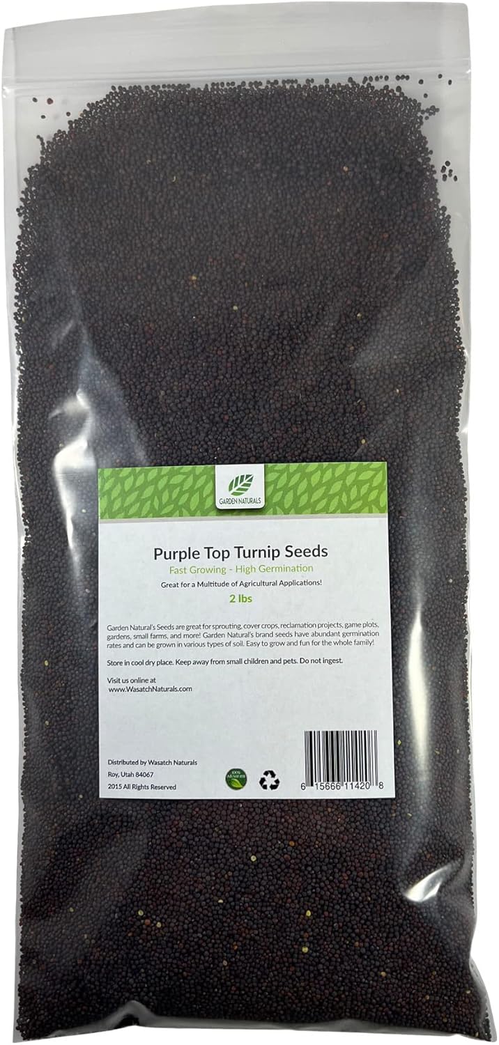 Purple Top Turnip Seeds 2 Pounds Garden Naturals