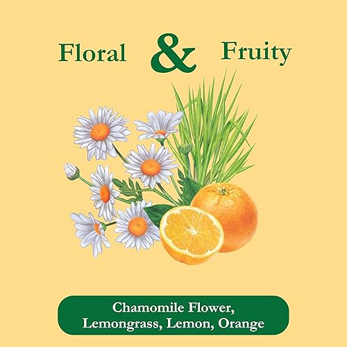 Vista 14 de Tadin Herb & Tea Co. Té herbal de Moringa, sin cafeína, 24 bolsitas de té, Paquete de 6