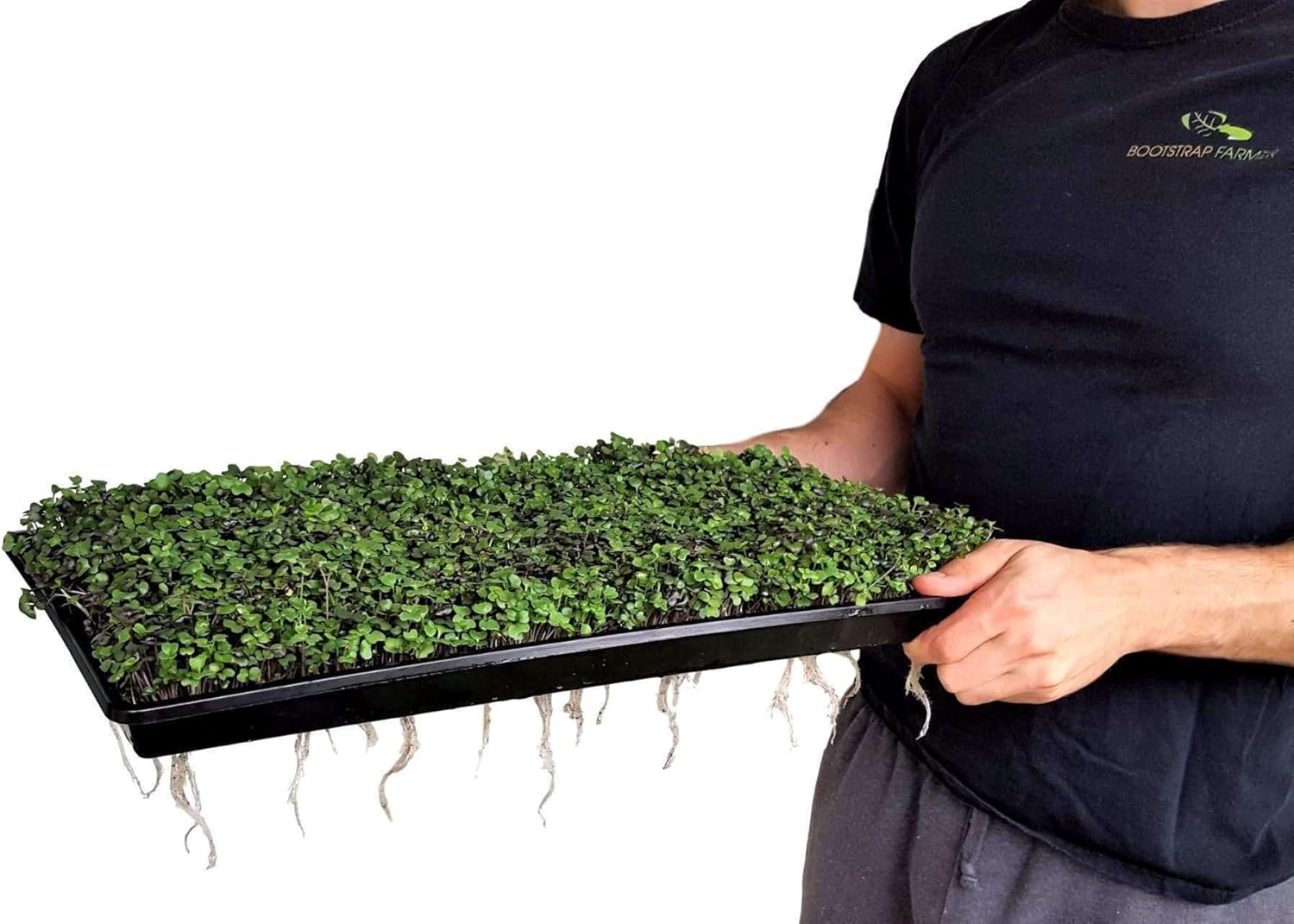 Bootstrap Farmer Microgreen Tray Hobby Starter Bundle 2 of Each - Extra Strength Microgreen Tray with Holes, Shallow 1020 No Holes, and Humidity Domes