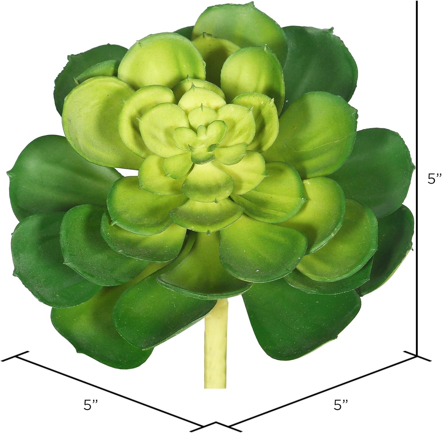 Vickerman 5" Artificial Green Plastic Cactus Plant - 6 per Pack - Unique Succulent Decoration - Maintenance Free - Faux Succulent - Realistic and Modern