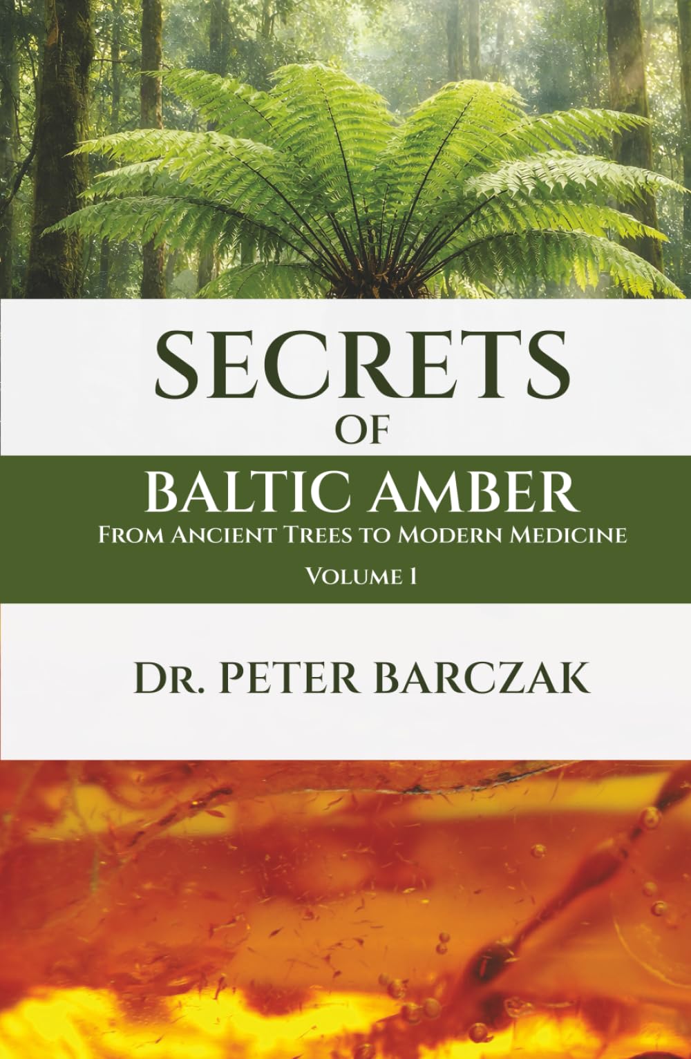 SECRETS OF BALTIC AMBER: FROM ANCIENT TREES TO MODERN MEDICINE