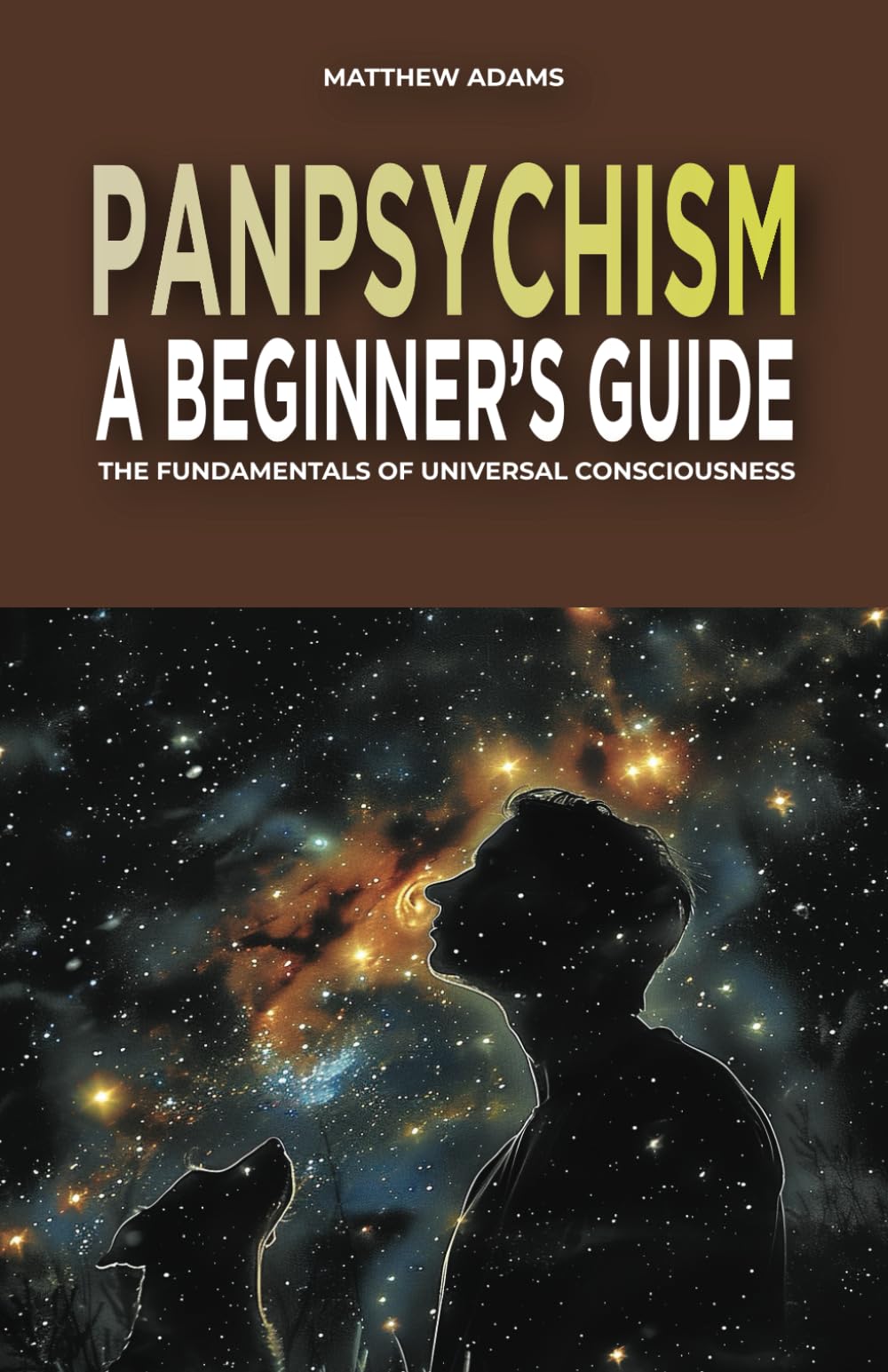 Panpsychism: A Beginner's Guide: The Fundamentals of Universal Consciousness