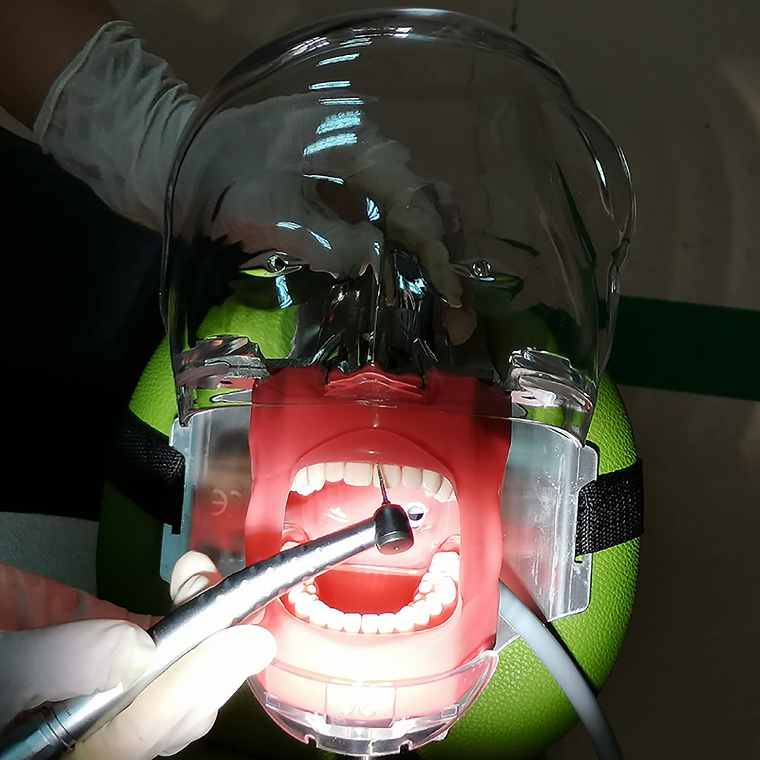 Model dydaktyczny, model głowy symulator zębów model zębów można zainstalować na poduszce krzesła dentystycznego stomatologii zestaw narzędzi do nauczania kanału korzeniowego