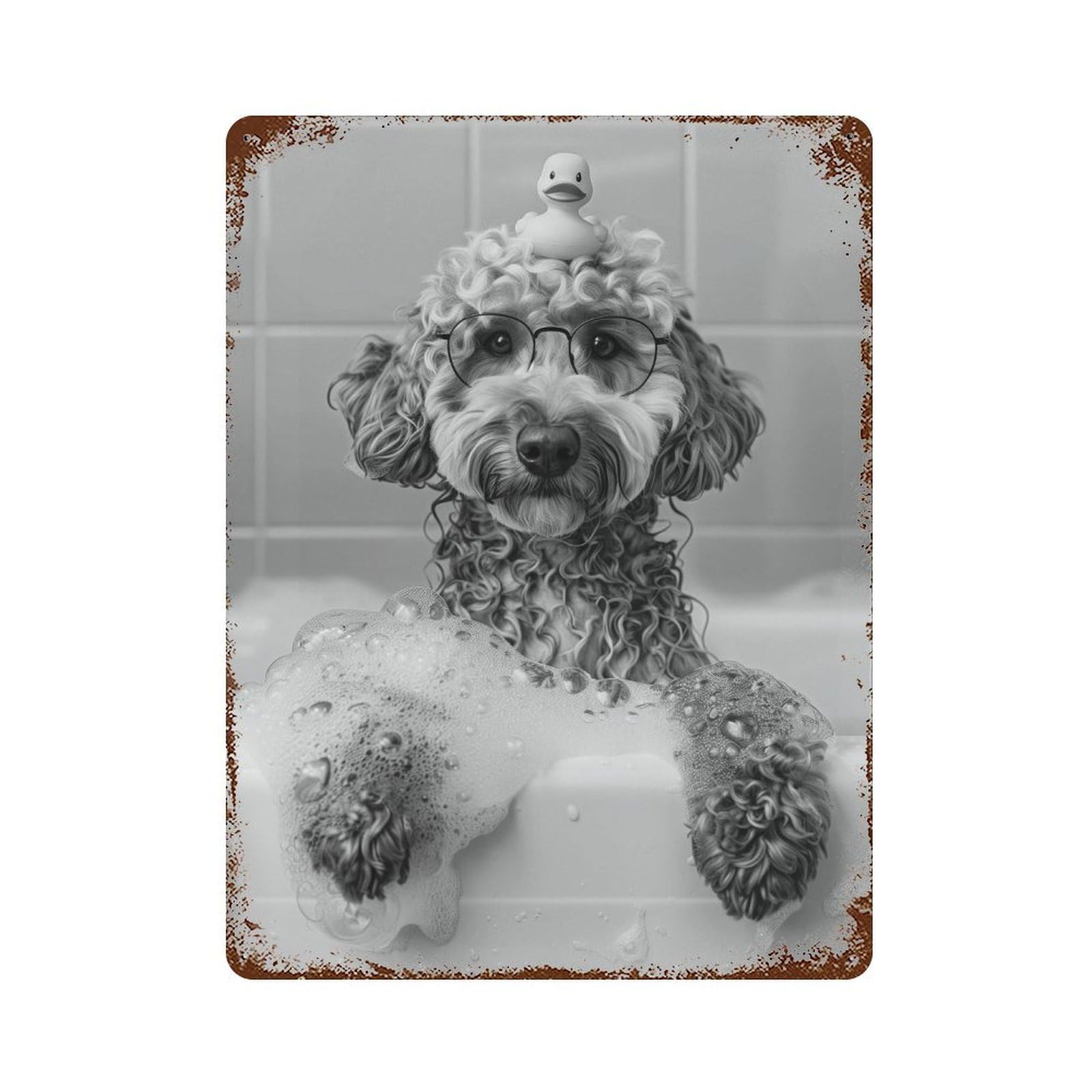 xiaoxiaoshen Labradoodle Bath Wall Art Wall Decor Art Metal Tin Poster Modern Home Decor Art Home Bar Shop Decorations Vintage Sign 40x30cm