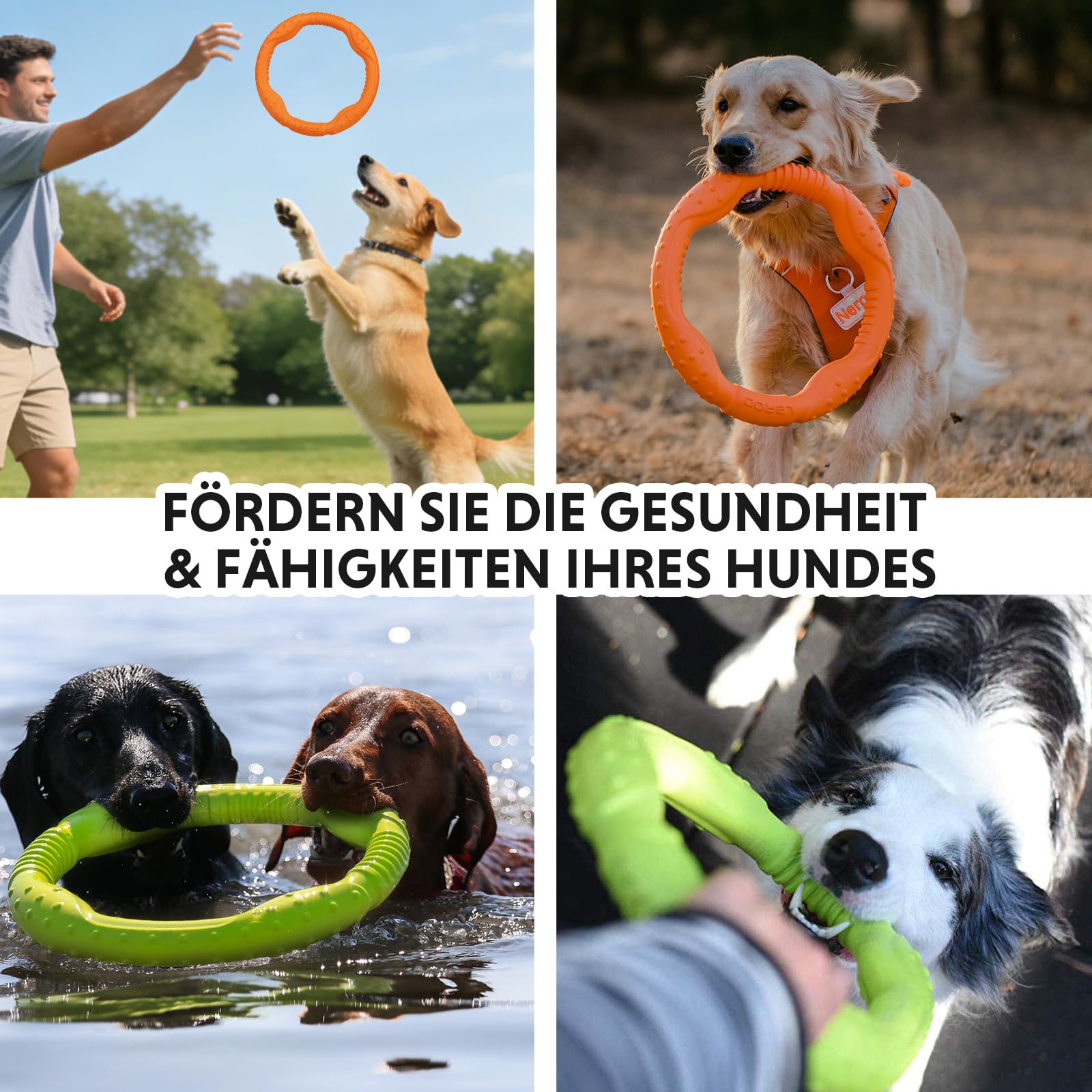 LaRoo Jouet pour Chien Dog Disc, Disque de Lancer Durable pour Chiens forts pour Petits, Moyens et Grands Chiens, Sport, Exercice, Activité et Jeux de Plein air (Vert, Grand-30CM)