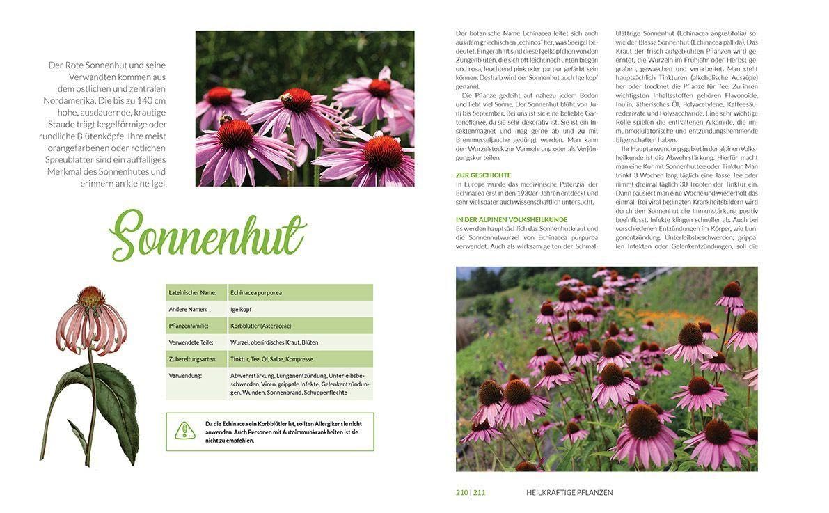 Heilkräuter aus den Alpen: Die Naturapotheke für Wohlbefinden und Genuss. Mit vielen Rezepten für Speisen, Getränke, Salben und Einreibungen