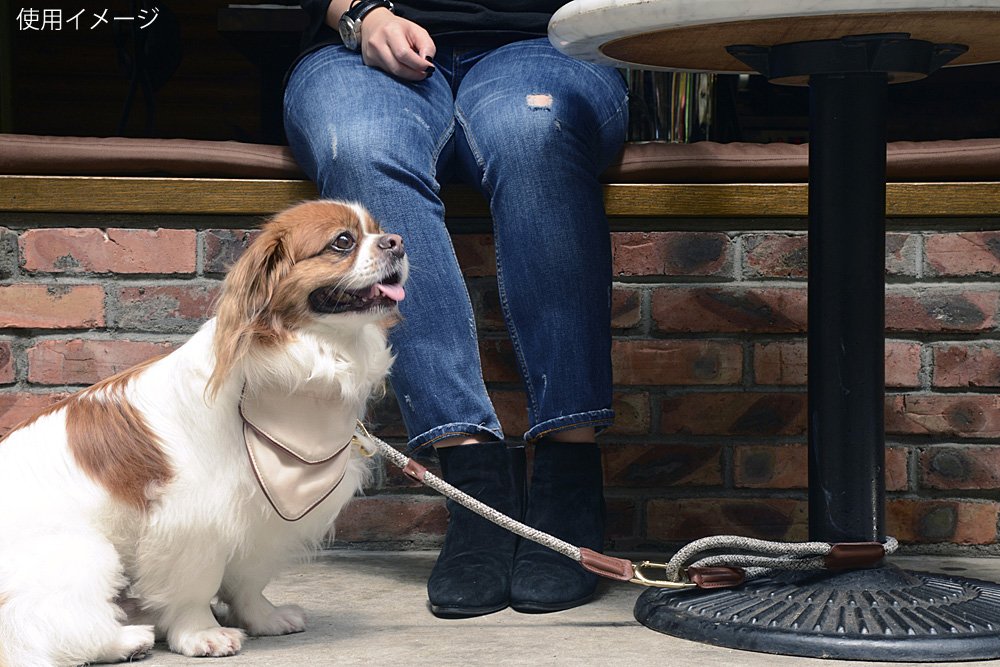 HIGH5DOGS クリックリード 11mm チャコール Amazon | HIGH5DOGS クリックリード 11mm チャコール