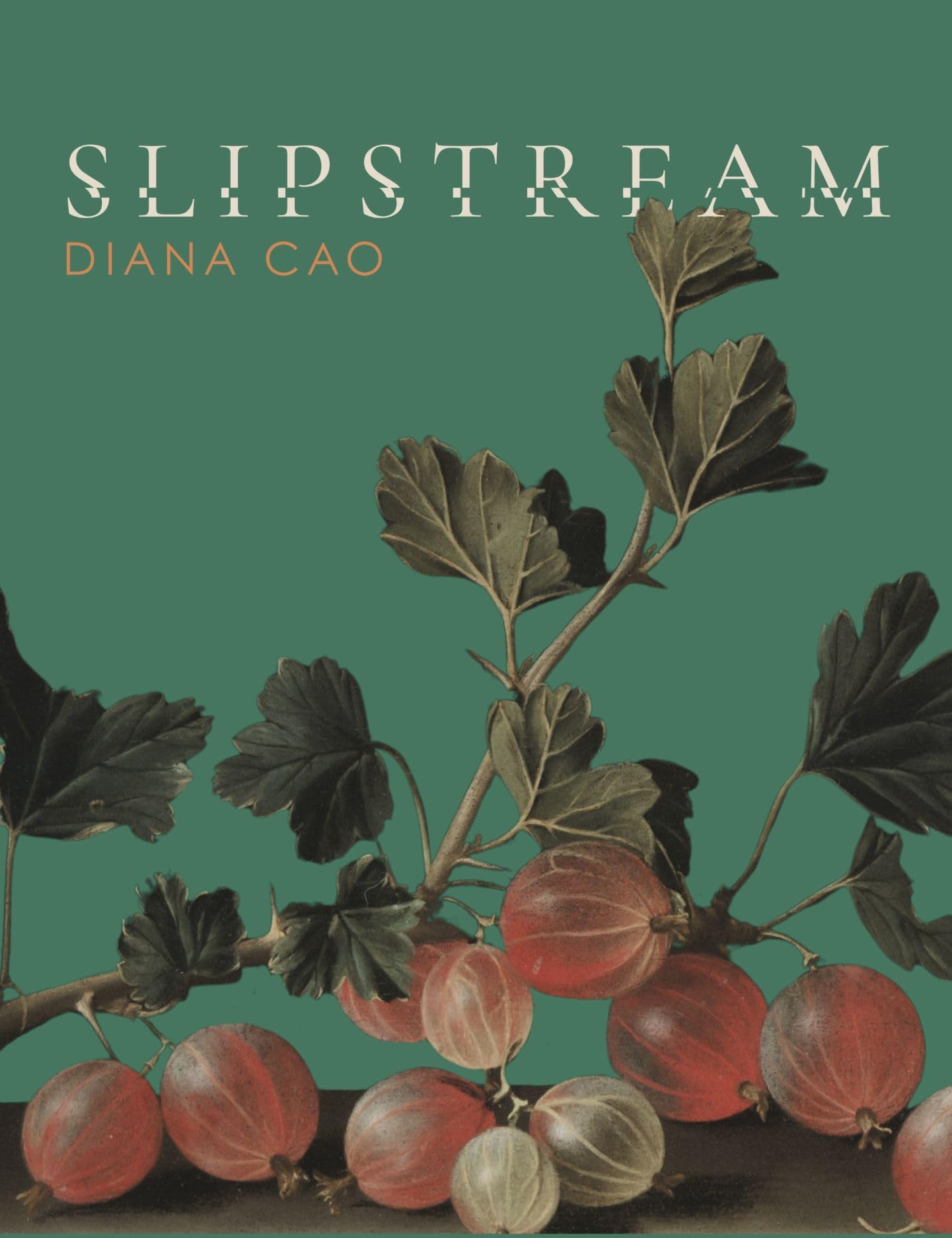 Slipstream