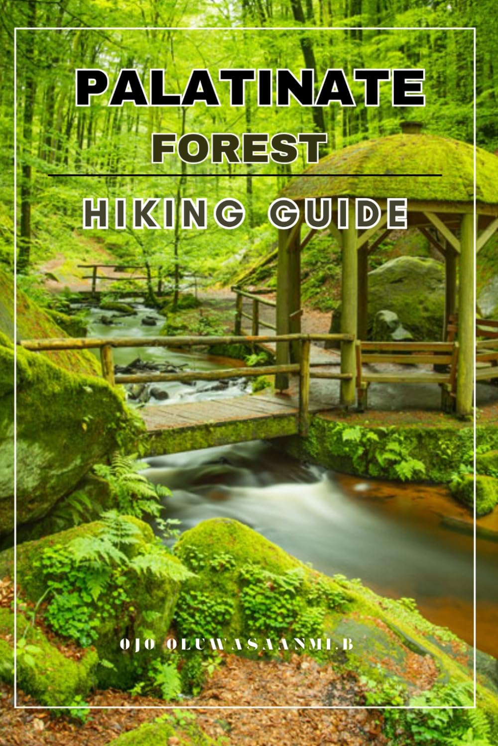 Palatinate forest hiking guide (Sanmy's Germany hiking guide:-Best Trails, Hidden Routes & Scenic Walks in Germany)