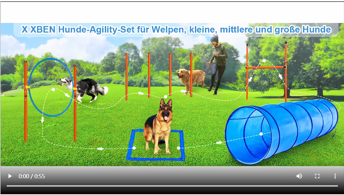 X XBEN Agility Ausrüstungs Set Für Hun, Hinrnisse Mit | WhichOne