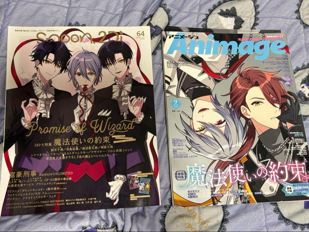 まほやく spoon アニメージュ 雑誌 魔法使いの約束 まほやく spoon.2Di