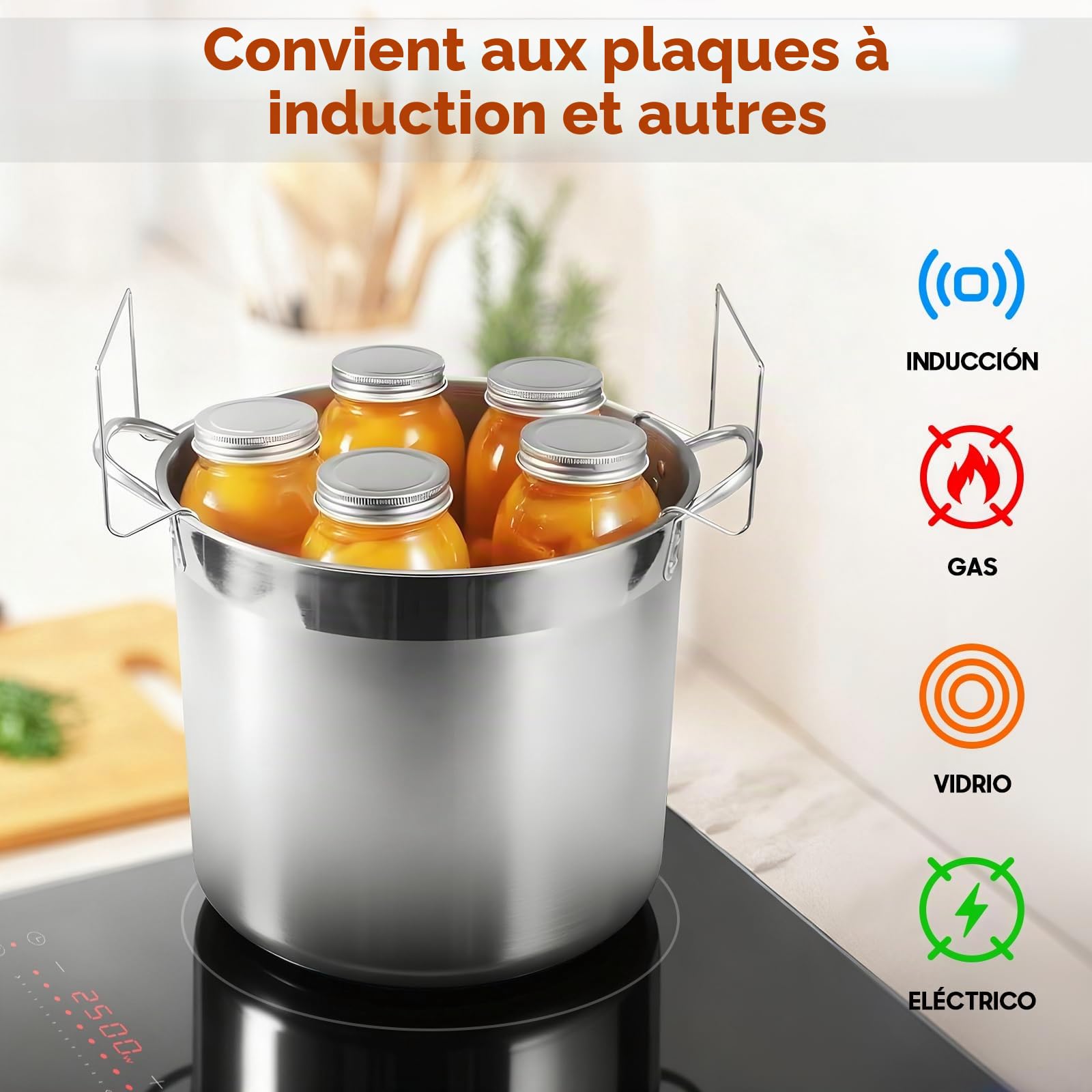 Marmite à Conserves en Acier Inoxydable avec Grille et Couvercle – Grand Stérilisateur pour Bocaux – Kit Complet pour Débuter les Conserves Maison (Noir, 19 L)