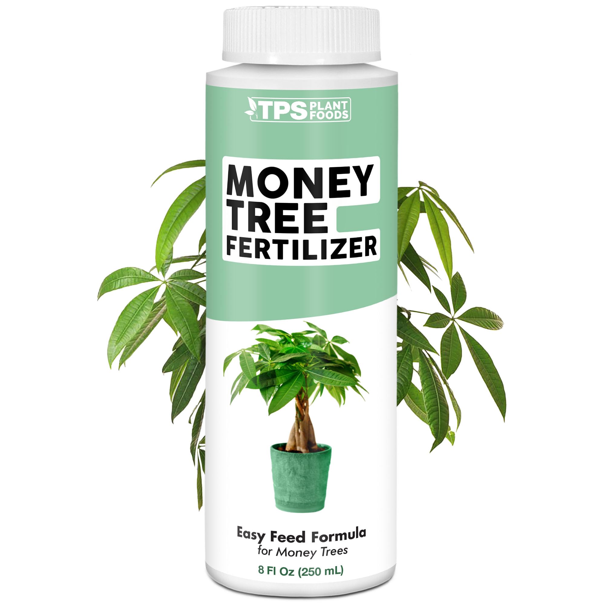 Money Tree Fertilizer for Money Trees and All Pachira Plants, Liquid Plant Food 8 oz (250mL)
