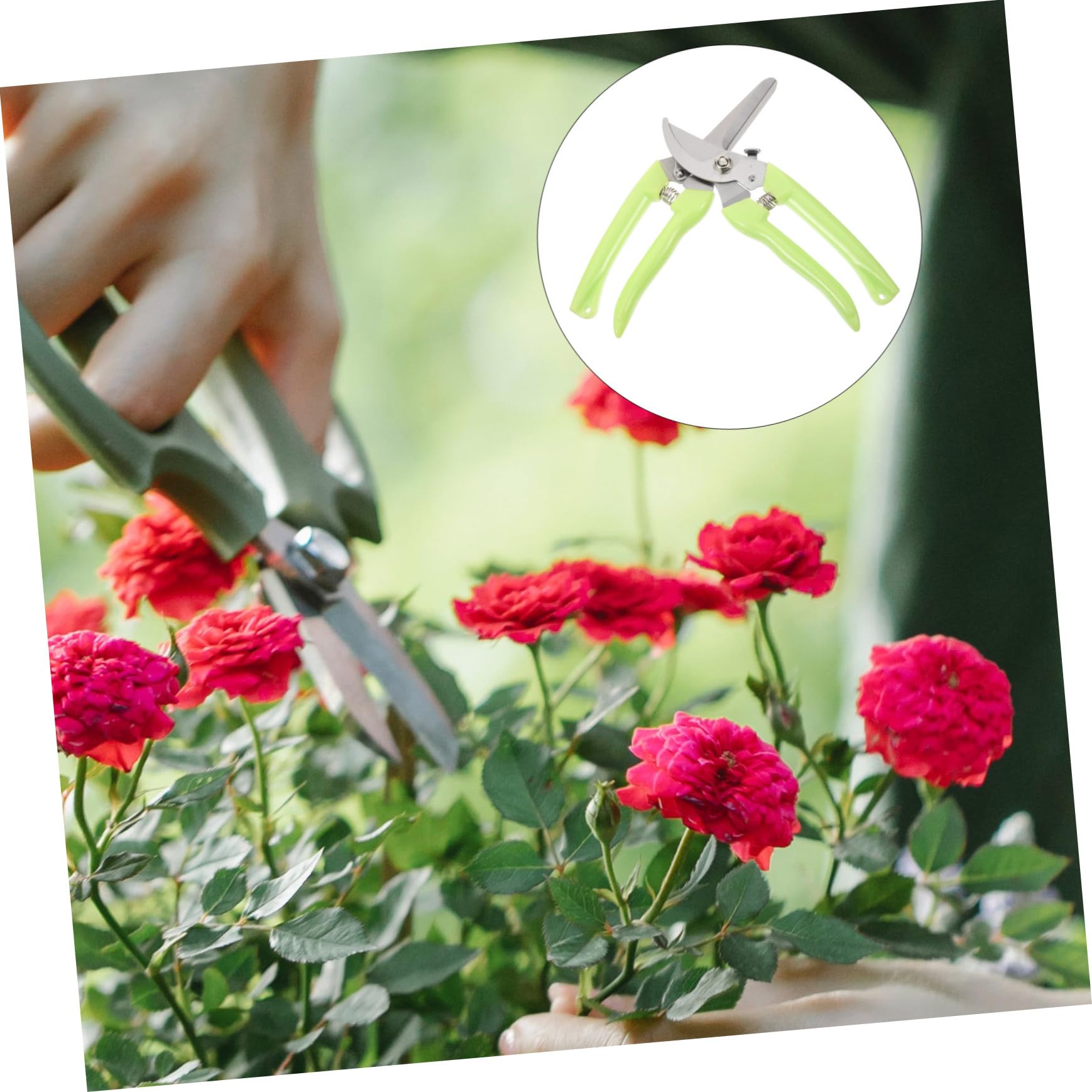 ifundom 2 Sätze Ergonomische Gartenschneider Pflanzenschneider Praktische Scheren Für Präzises Trimmen Und Schnitt Obstbäumen Für Gartenarbeiten 2 Stück * 2