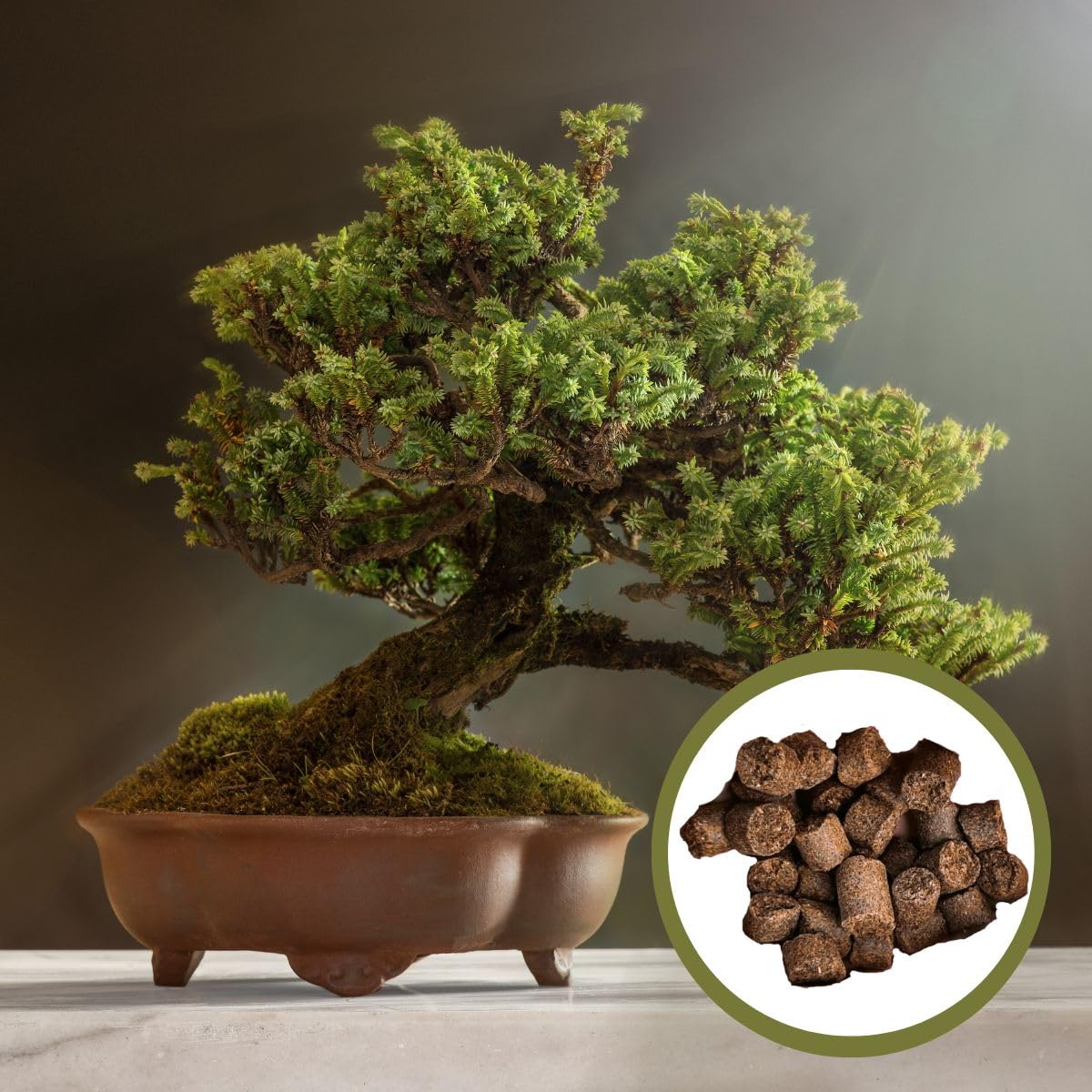 137272-Engrais Organique Joy Tamahi Grain Moyen 8 kg.