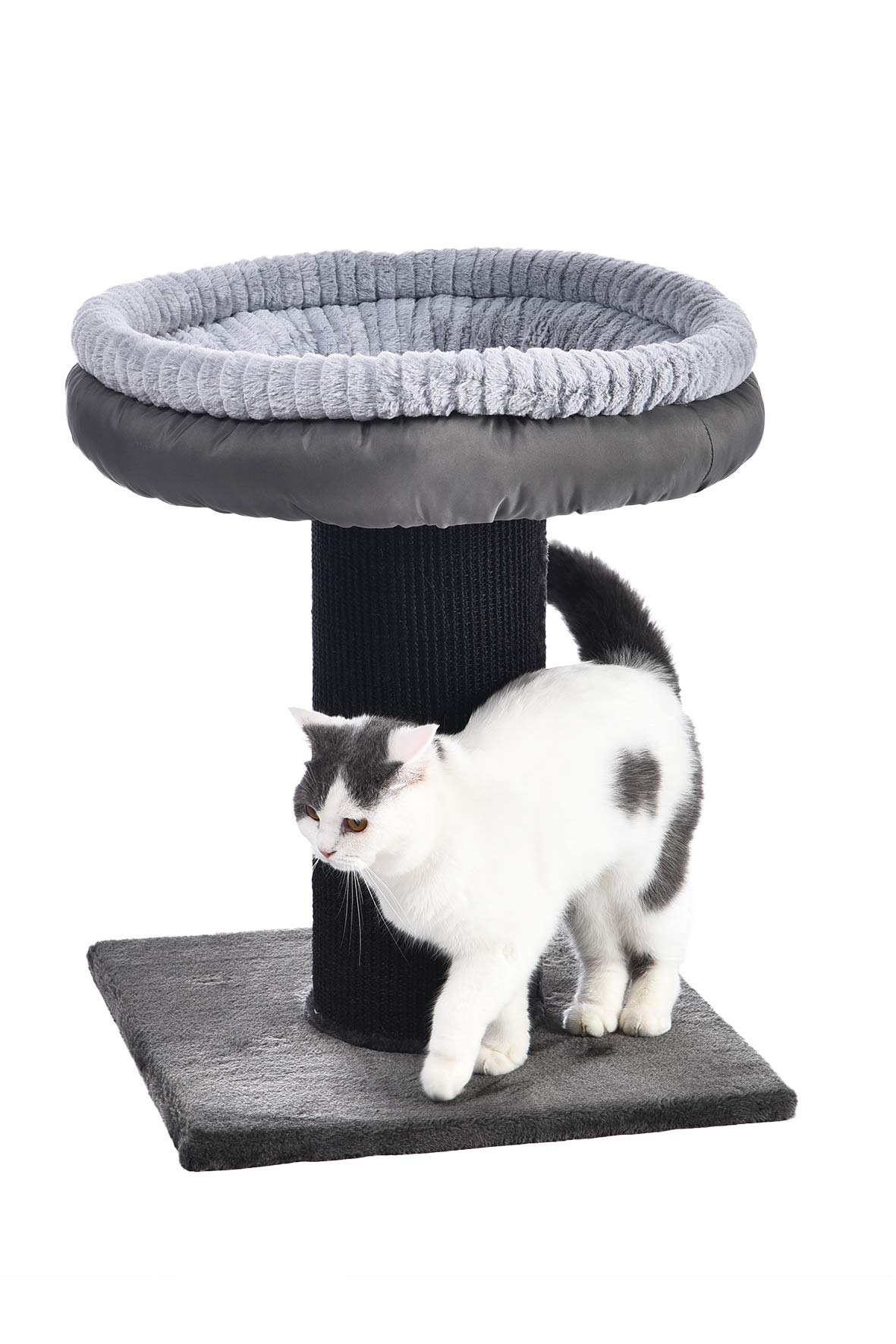 Amazon | Amazonベーシック キャットタワー エクストララージ