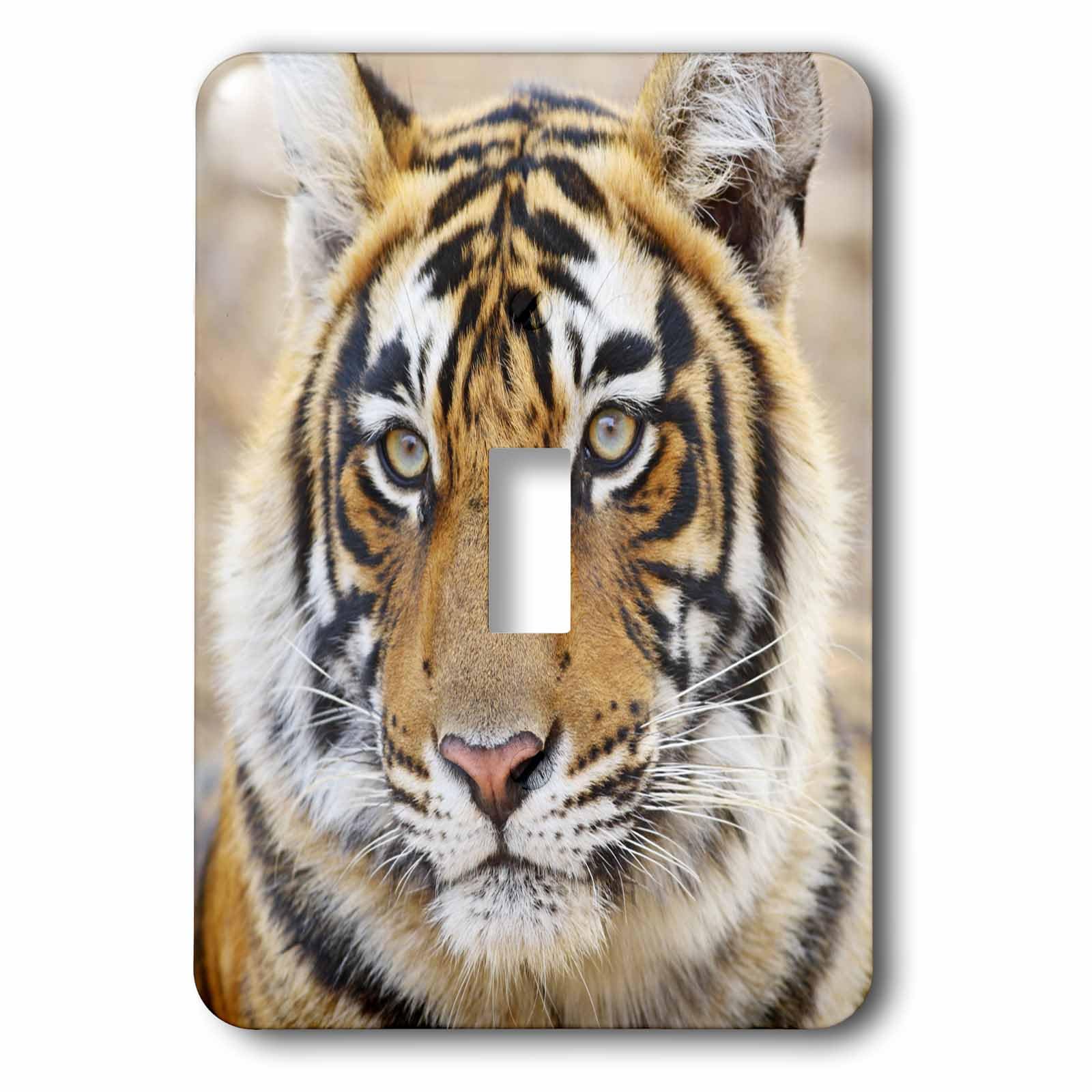 Interrupteur Tigre Royal du Bengale 3drose LSP 75677 1 pour décoration murale