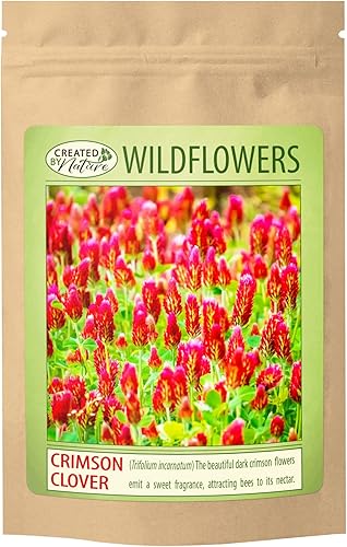 Semillas de trébol carmesí para plantar más de 10000 semillas de primera calidad atrae polinizadores sin OMG