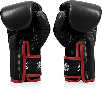 Amazon | Fairtex BGV14 Muay Thai Boxing Gloves for Men