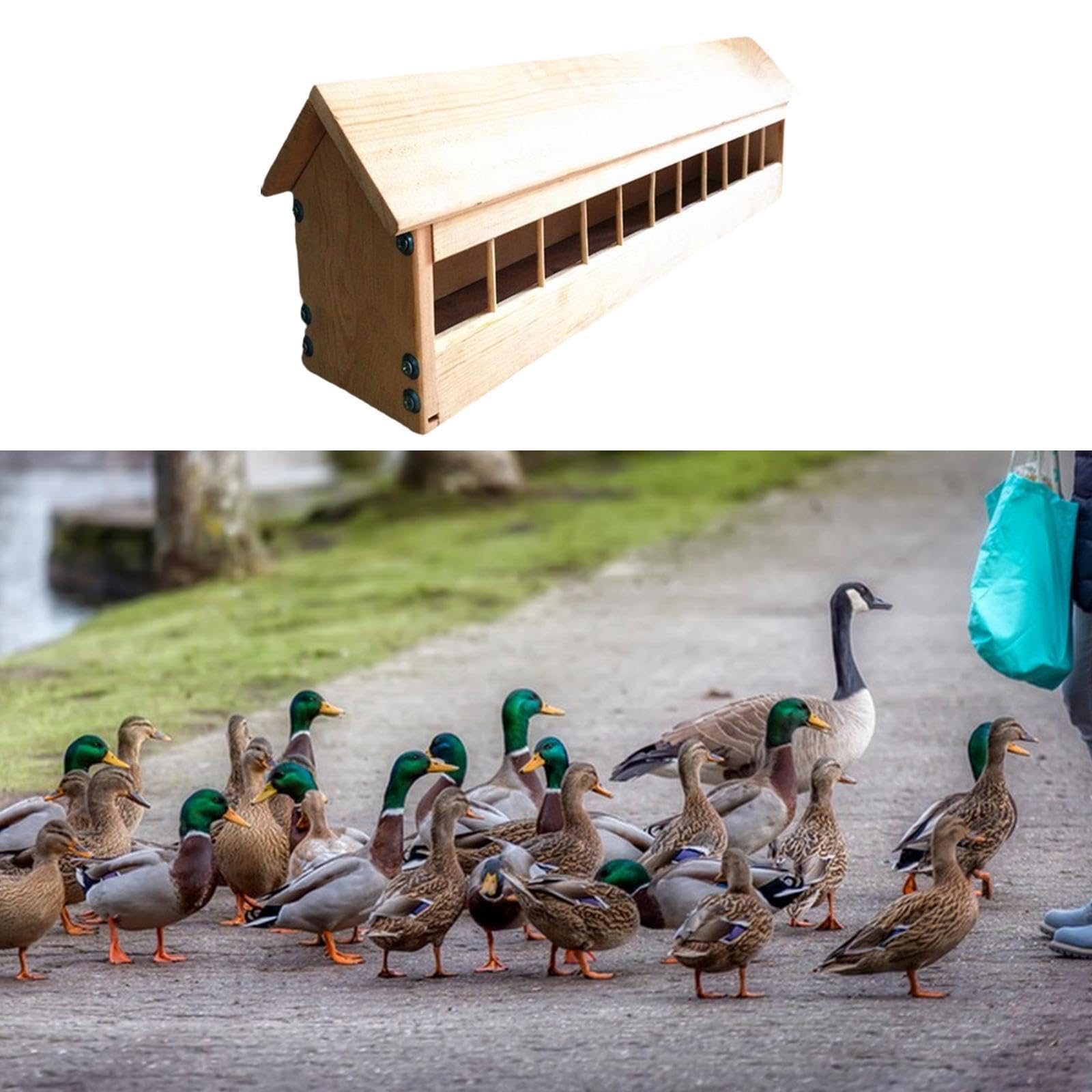 Qianly Taubenfutterspender, Vogelfutterspender, Vogelfutterspender, Dickes Material für Den Garten, Vogelbedarf,