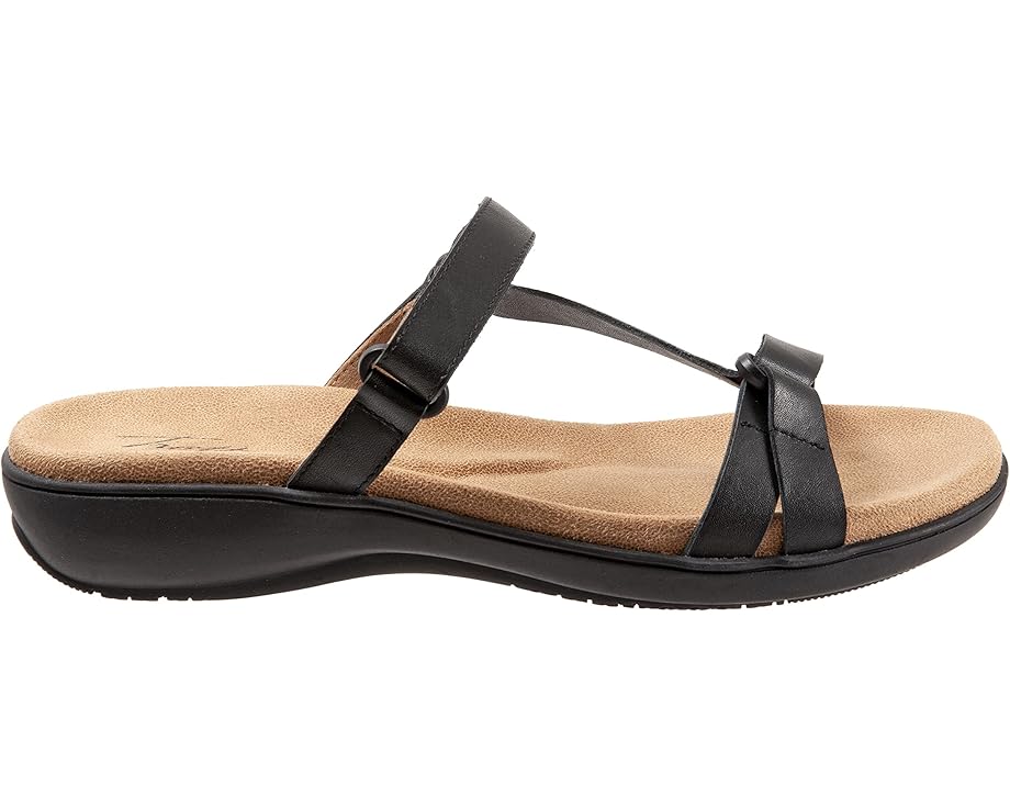 Trotters Raja - Right View