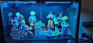 Review Image by Richard