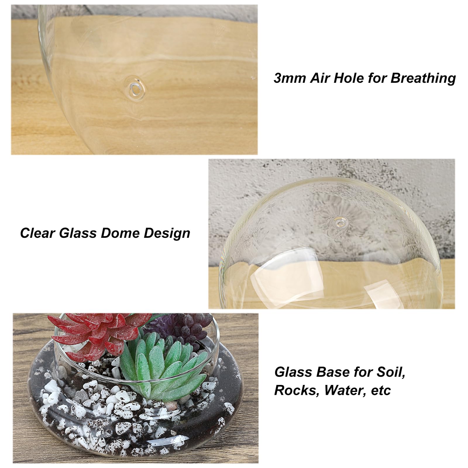 Mini pot de terrarium pour plantes succulentes - Dôme en verre transparent avec trou d'aération de 3 mm - Cloche décorative en verre avec fond en verre - Décoration de table pour bureau