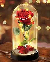 Touloube Rose Flower Gifts for Women, Light Up Artificial Flower Gift-Premium Rose Flower, Eternal Rose in Glass with Lights, Gift for Mom Grandmother Grandma for Birthday, Anniversary