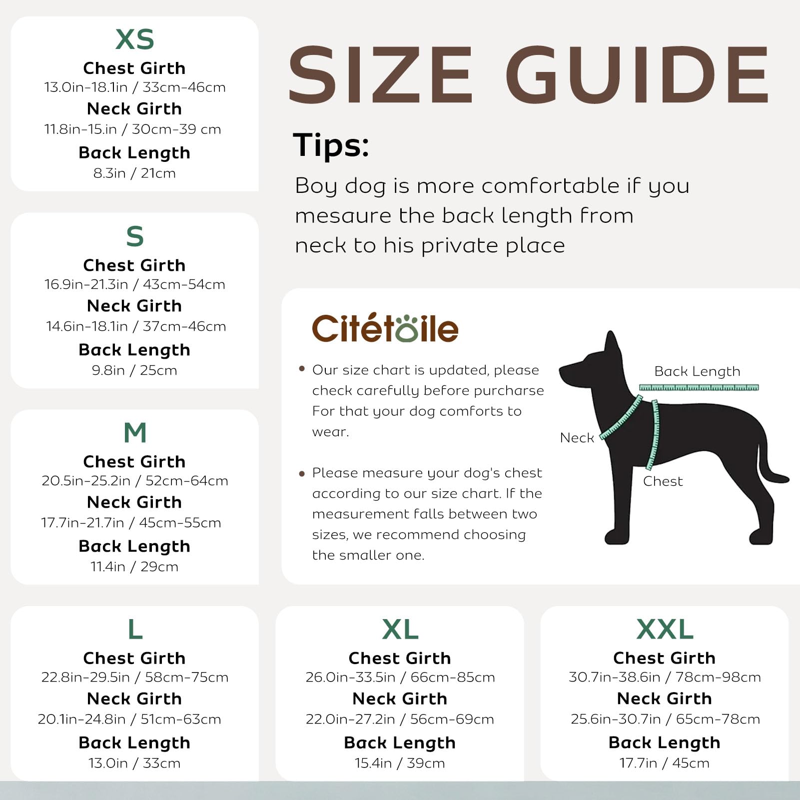 CITÉTOILE Chaleco Salvavidas para Perros con Doble Asa - Chaleco Reflectante Flotante con Asas Reforzadas y Correas Ajustables para Natación, Barco, Gris, XL