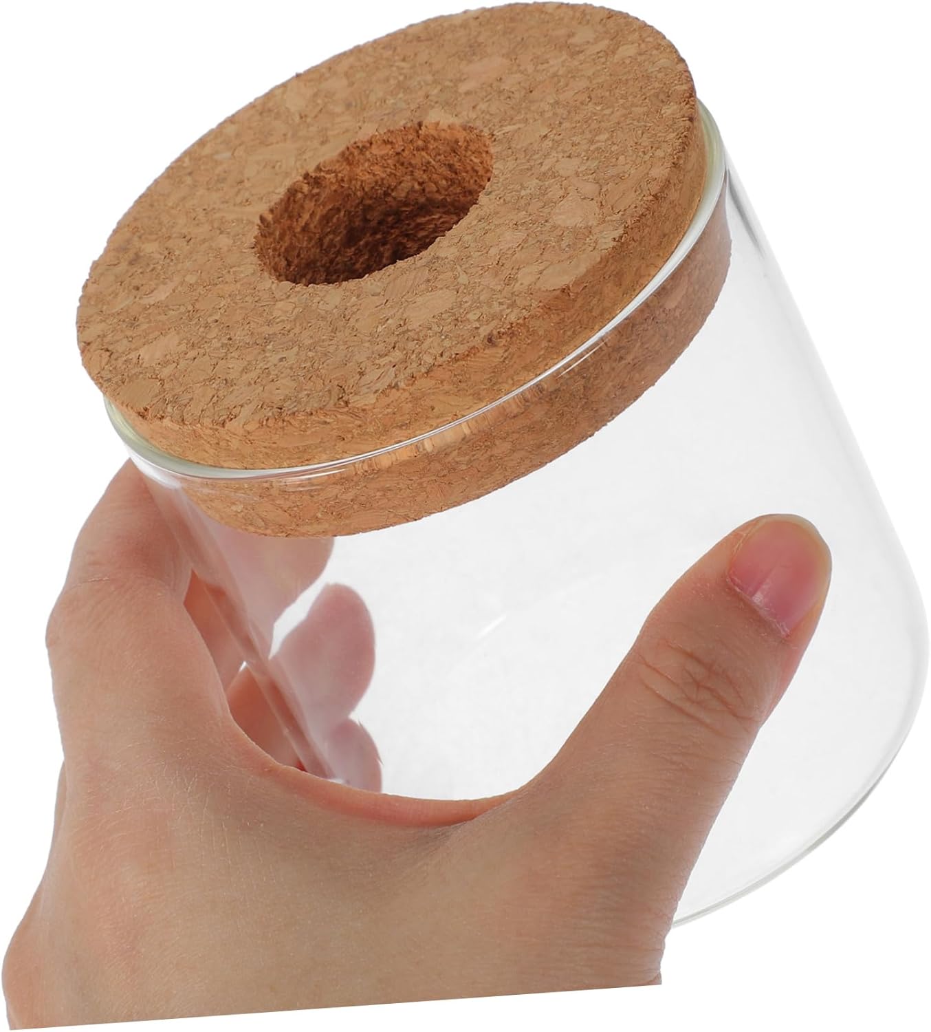 Hydroponic Plant Terrarium with Bamboo Stand Glass Vase Set for Indoor Garden Decoration for Air Plants Flowers and Water