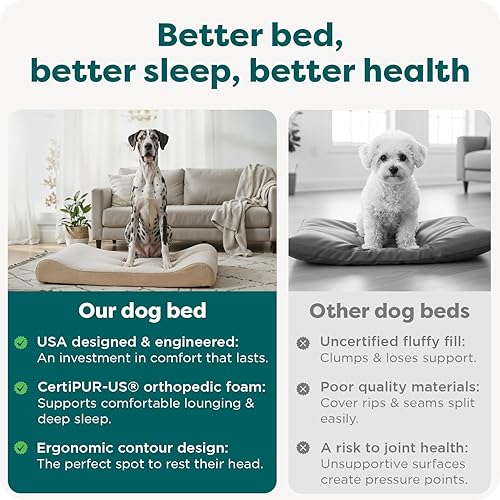 Miniatura 7 de Furhaven - Cama ortopédica de piel sintética ultraafelpada y gamuza para perro, con funda extraíble lavable, color crema, jumbo plus (2XL)