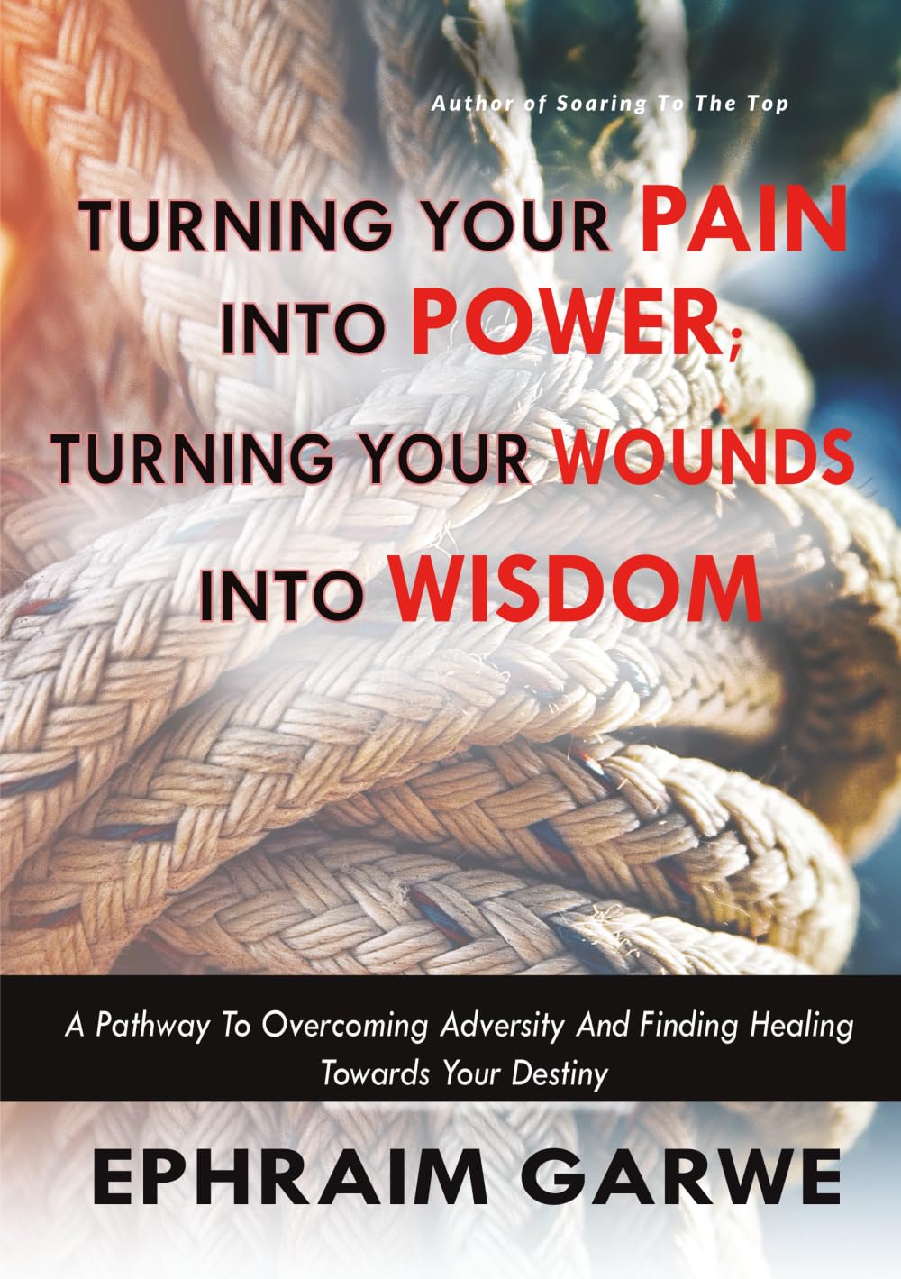 Turning your pain into power; Turning your wounds into wisdom: A pathway to overcoming adversity and finding healing towards your destiny
