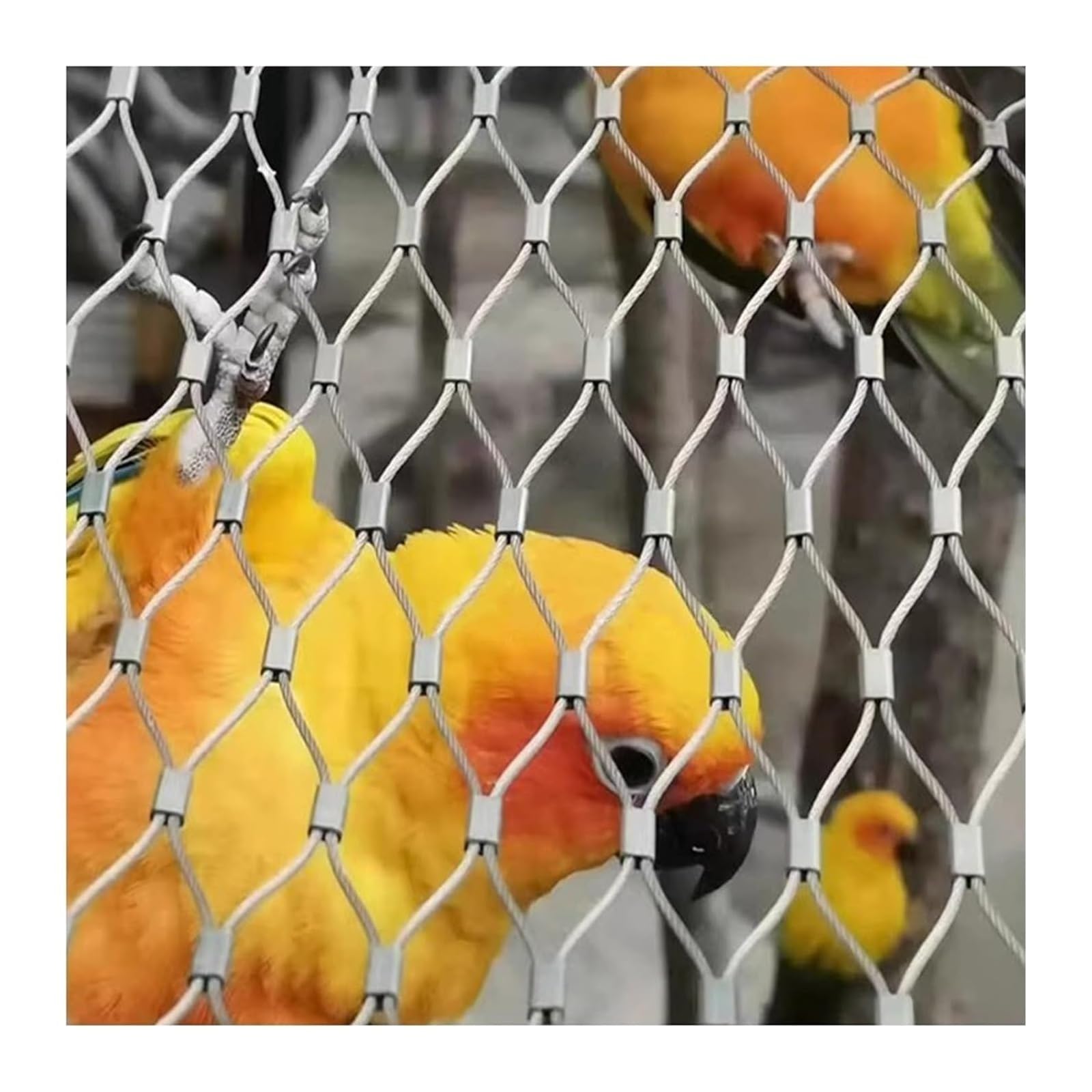 Filet de nichoir robuste à mailles flexibles barrière anti-oiseaux en acier