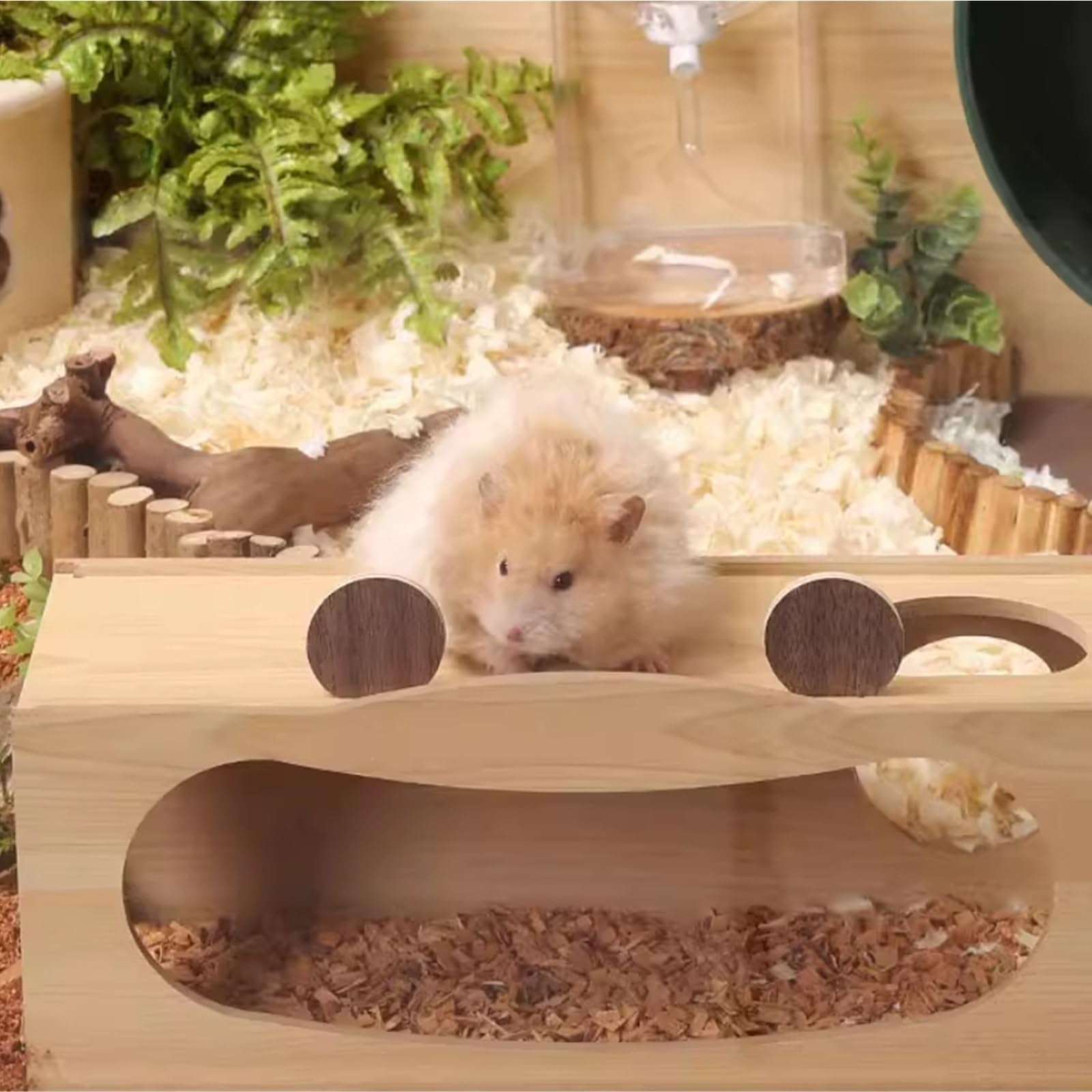 Cage à Hamsters Nid de Hamster Ours Doré Cachette Maison en Bois Petite(Grand)