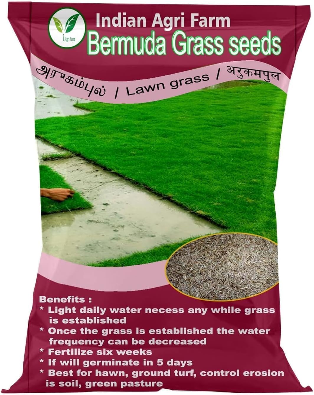 Bermuda Grass Seeds - 100 Gram/Ever Green Grass Seed for Lawn/Lawn Grass Seed/Sport Ground and Gardening