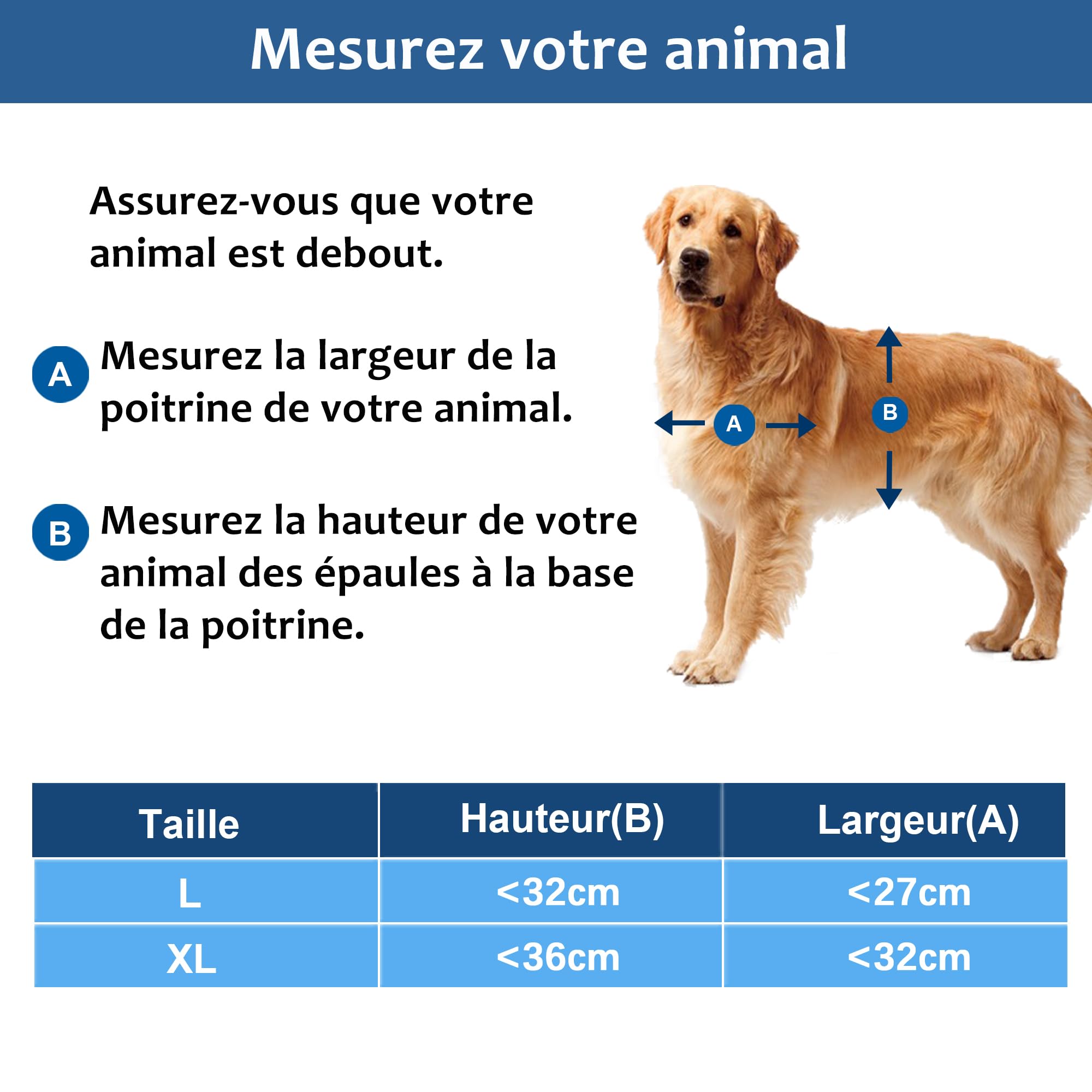 CEESC Grand Chatiere pour Chien avec Rabat Magnétique Transparent Doux et Panneau de Fermeture à Pression, Chatière en Plastique PVC de Qualité Supérieure pour Grands Chiens (XL, Blanc)