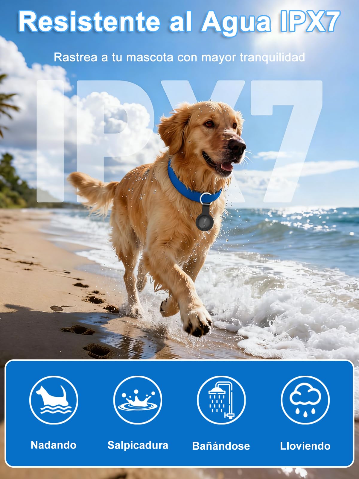 GPS Perros,GPS Gatos de Ubicación en Tiempo Real,Localizador Perros Mini Bluetooth,Localizador Gatos sin Suscripción,Compatible con iOS/Android,Batería de Larga Duración,se Puede Usar con Collar,Negro