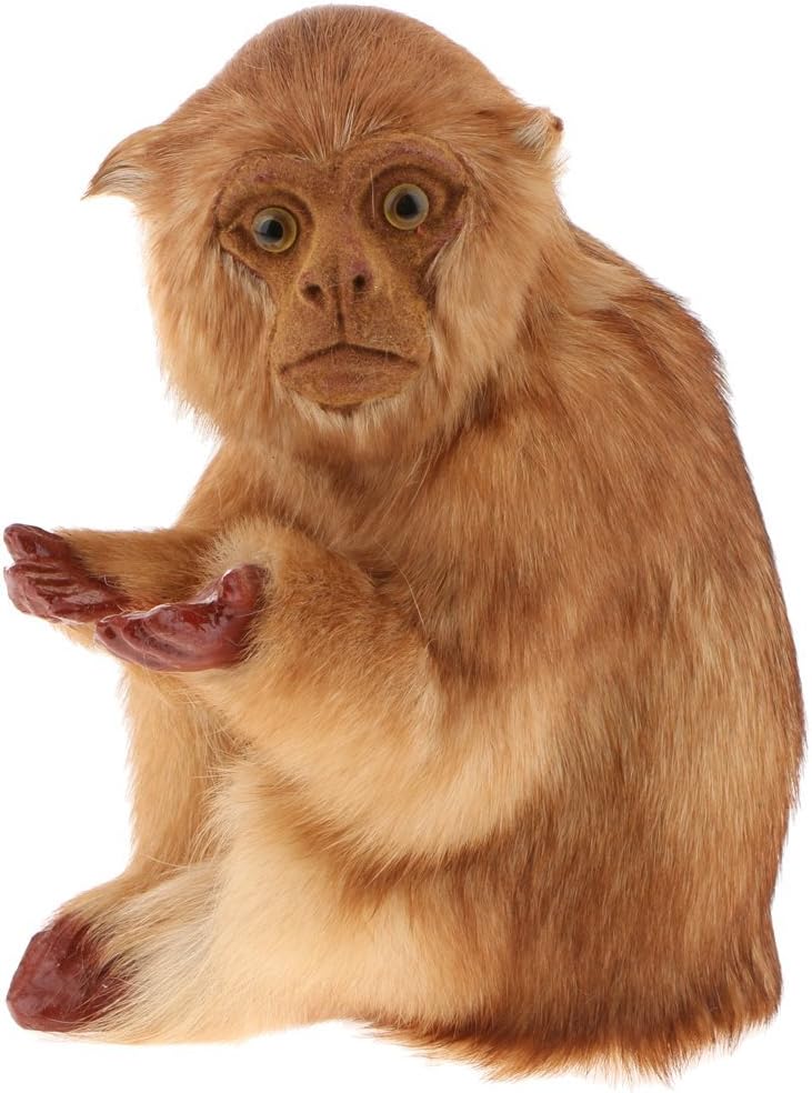 Realistic Monkey Animal Statue Sculpture Home Garden Patio Decor Ornament (Dark)