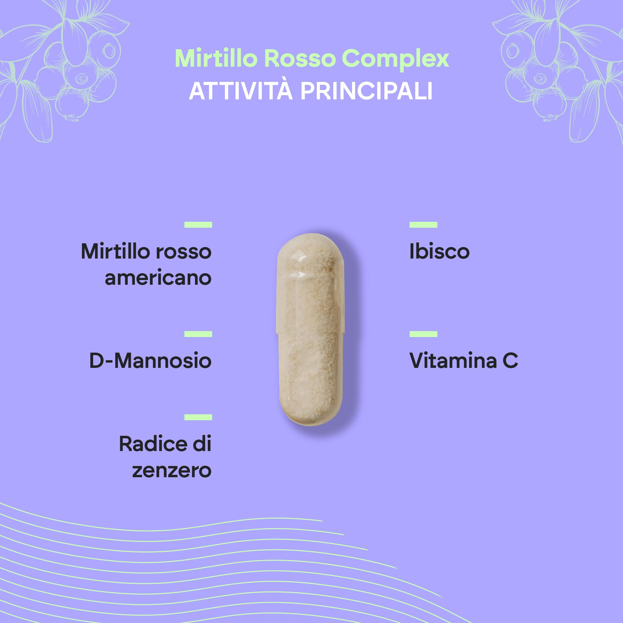 Mirtillo Rosso Americano - Vitamina C, D-Manossio e Ibisco Zenzero - Mirtillo Rosso - Cranberry Complex 60 Capsule Nutralie