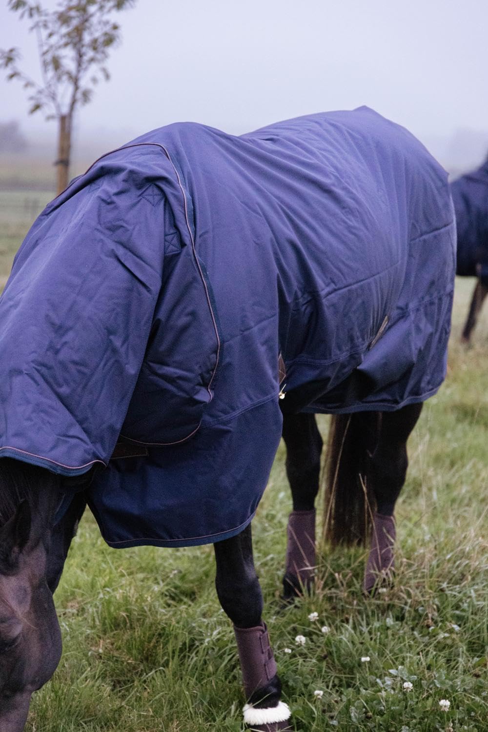 Turnout Rug - Manta impermeable para caballo (0 g, tamaño: 125), color azul marino