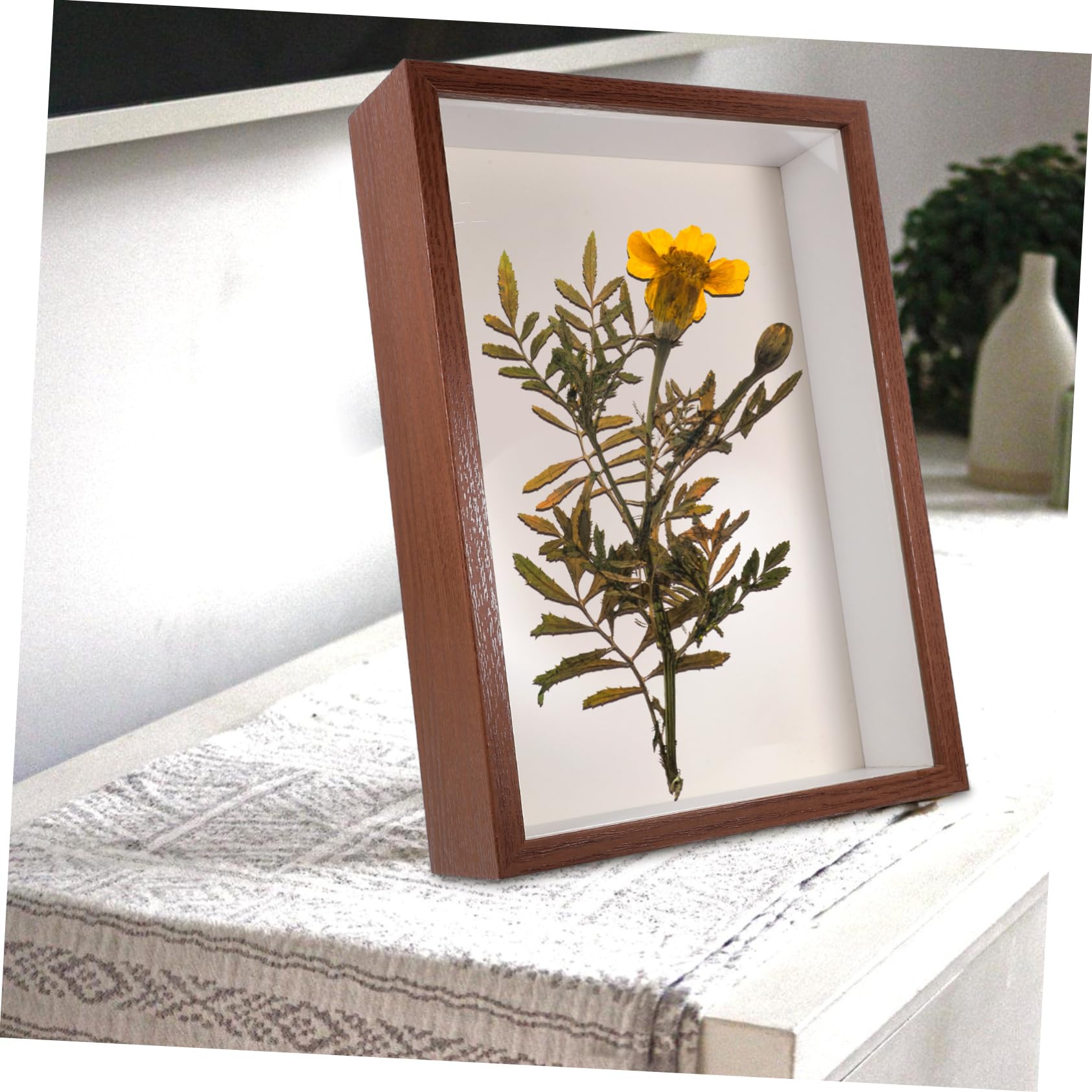 Cornice per Foto in Legno A3 Finestra Trasparente, Portafoto Fiori Secchi Protetti, Espositore Decorativo da Tavolo per Piante Pressate e Arredamento Casa