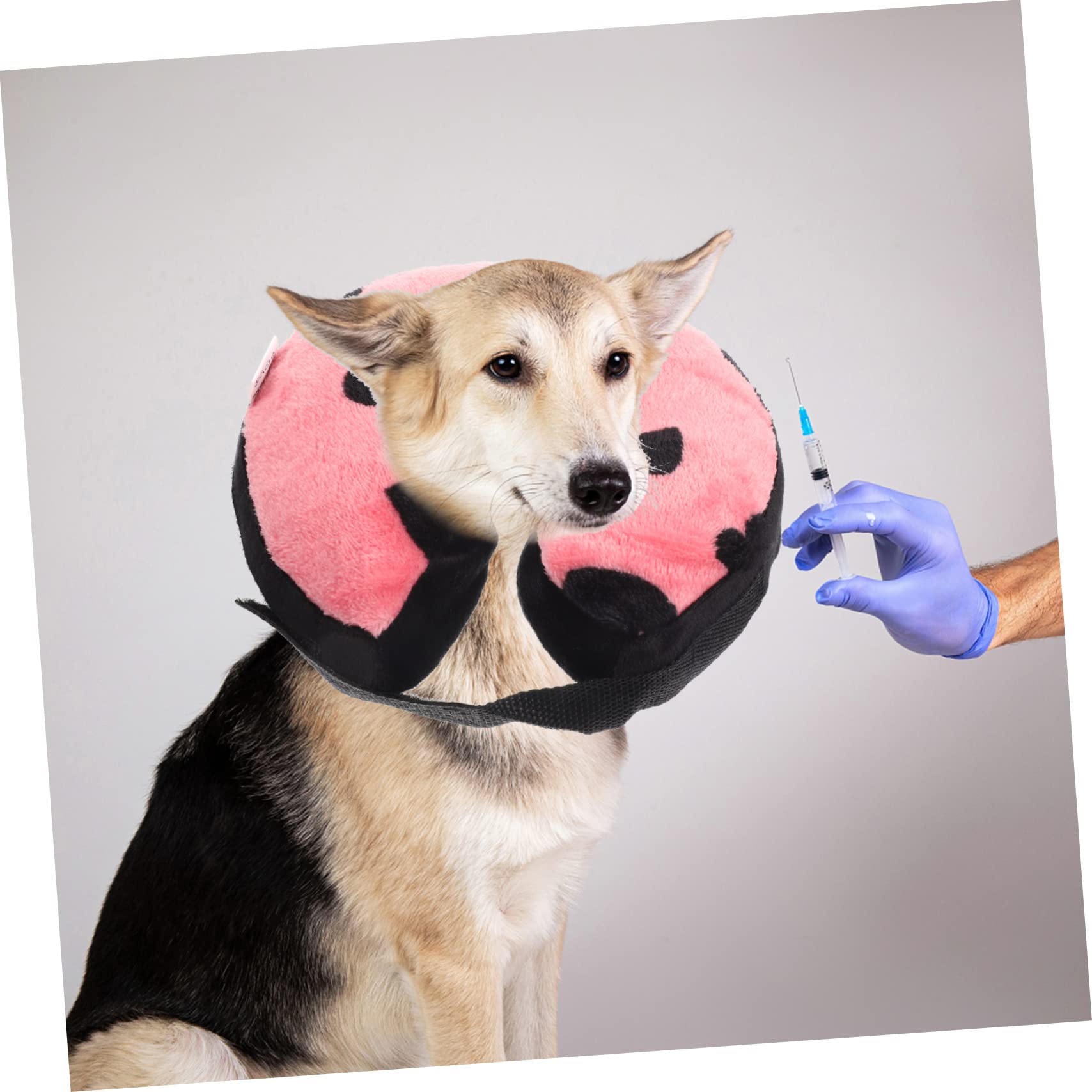 Didiseaon 4 Uds Collar Elizabeth Collar De Perro De Recuperación Collar Inflable para Mascotas Cono De Donut para Perros Después De La Cirugía Conos De Gato para Perros Después De La