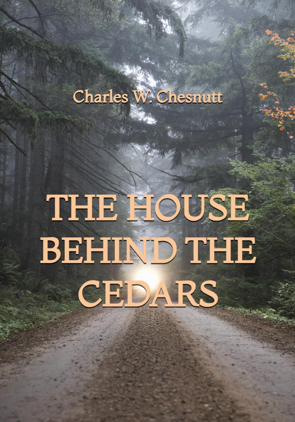 The House Behind the Cedars