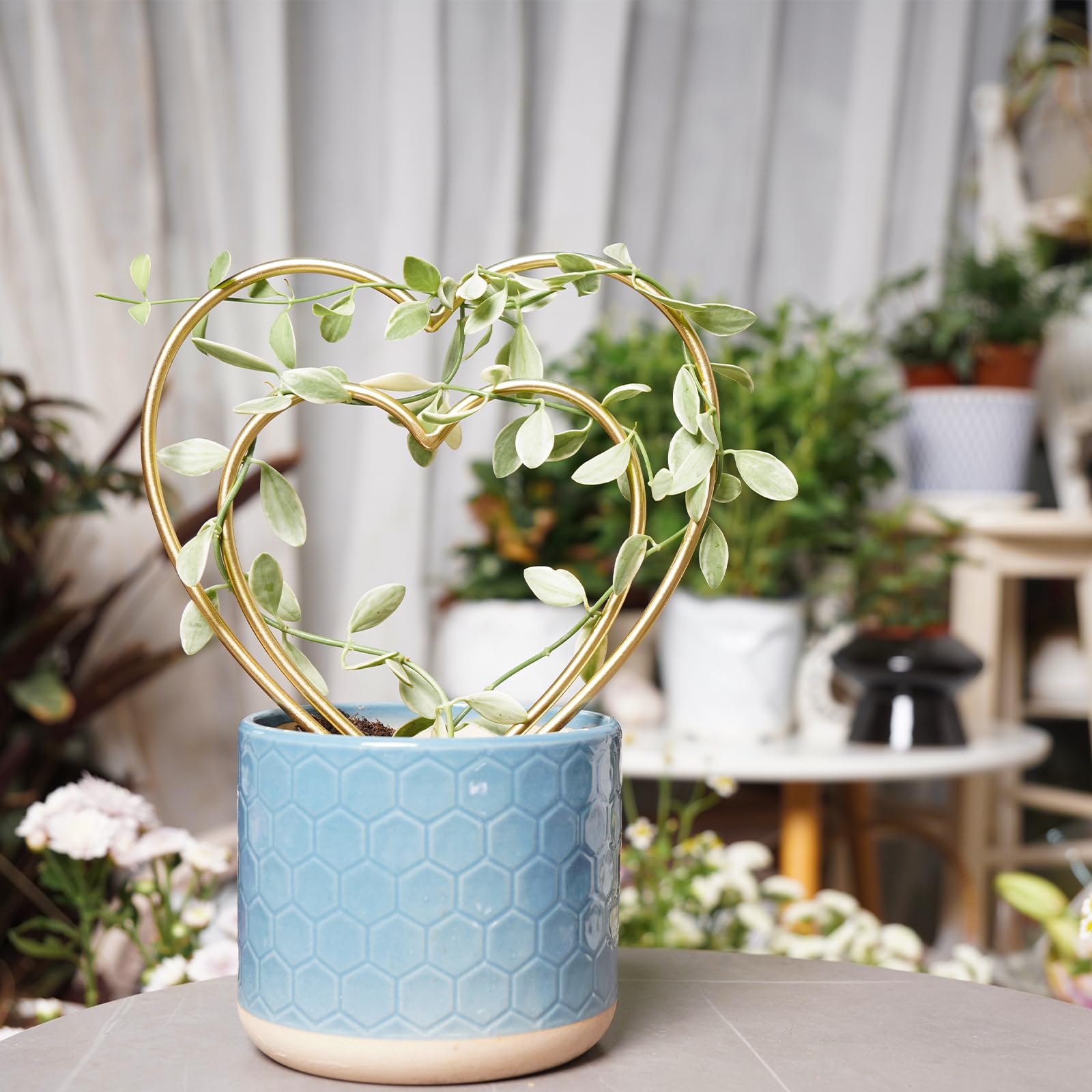 Soportes Para Plantas Trepadoras - 2 Enrejados Dorados De Metal, ¡ideales Para Interiores Y Ayudar A Crecer Tus Plantas!